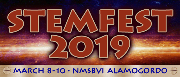 STEMFEST 2019